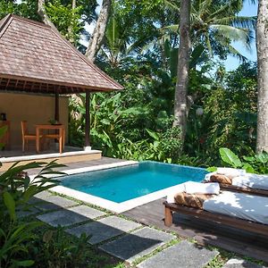 Villa de 1 Dormitorio